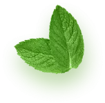 MonsterGo - System Panel